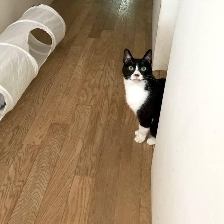 250fbed3 dfdf 4470 8147 f4d3799b8b84 1528952512098