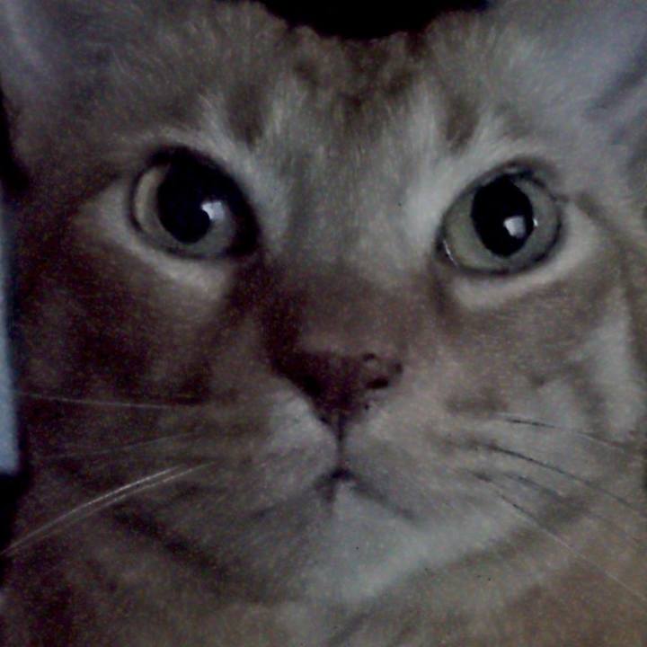 250fd049 c799 4542 ae4b 1c8a6b739f07 1747559789335