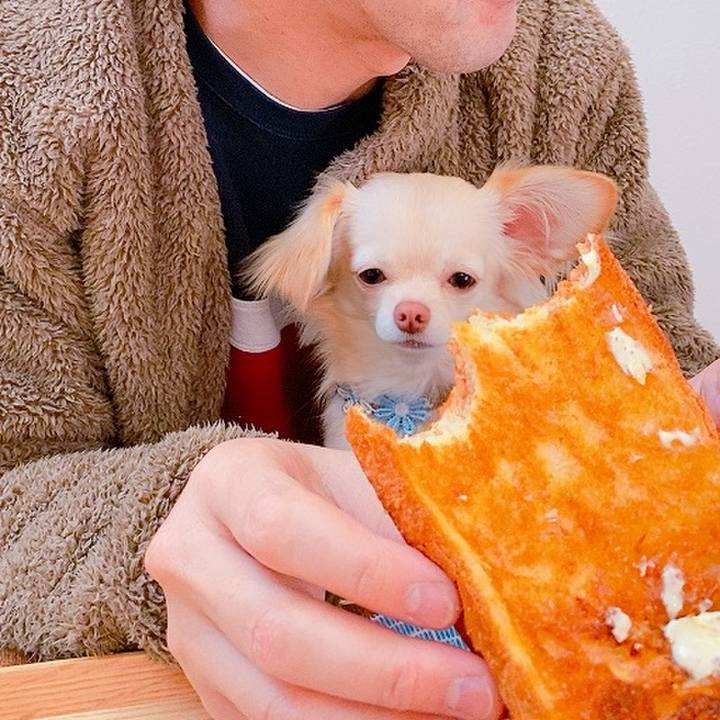 250ff876 3a02 4657 84db 8a176b7170ee 1613783666993