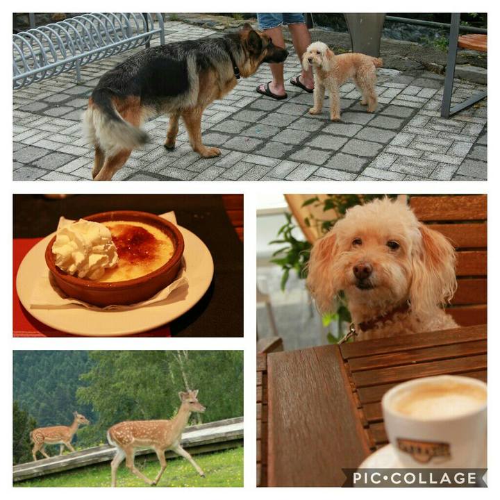 250ffbb6 e845 4e3d 9df9 dbe2d21b168b 1593465324204