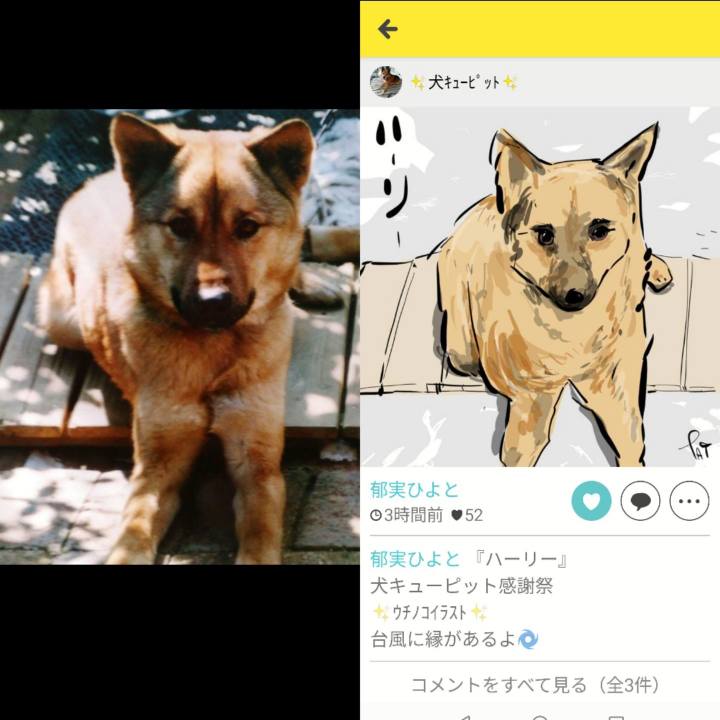 25100a10 c48e 4fdd 85a9 46236168bfdc 1665473430222