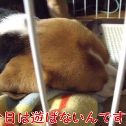 25103103 7caa 4abd 99c4 972812eb5823 1696291063192