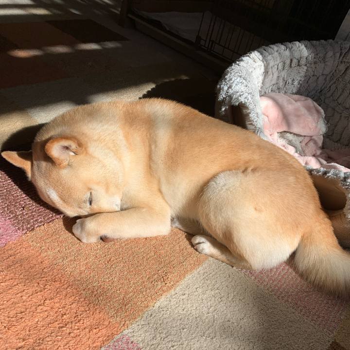 251032fb ce57 49a7 b6bc 70edef2120b0 1644063036603