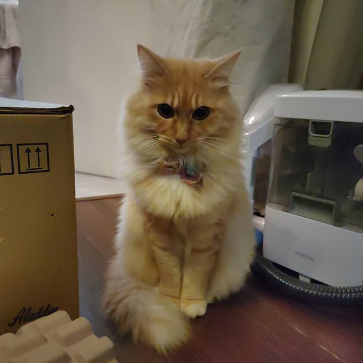 251068ec f6af 44fe b302 4c22a26a7338 1672007940387