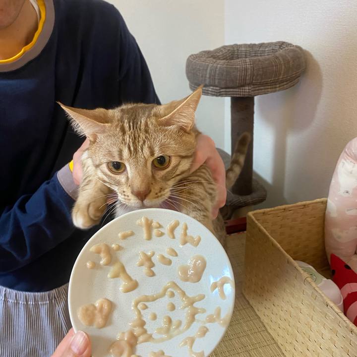 251080f1 2f09 4a31 8eaf bf3c284ede44 1609846974965