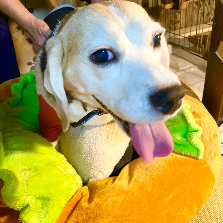 2510d9fe 05f8 4b39 ba0e 81b60a2a66a0 1602809580666