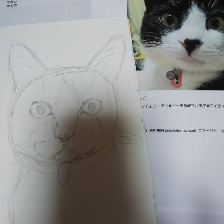 2510dec8 b071 4a9e 8f33 71358376c606 1537769213069