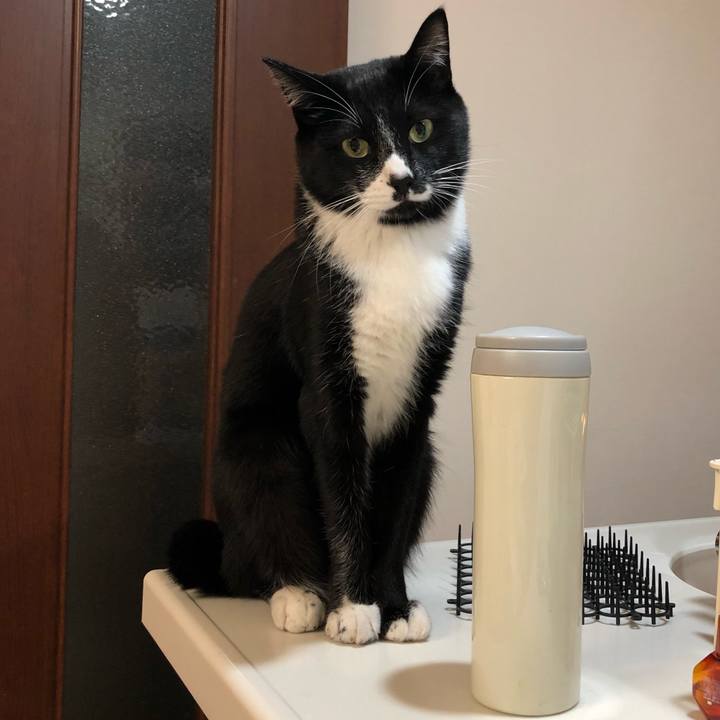 2510e3d0 206e 4f05 9883 cb03f35e8727 1541475064176