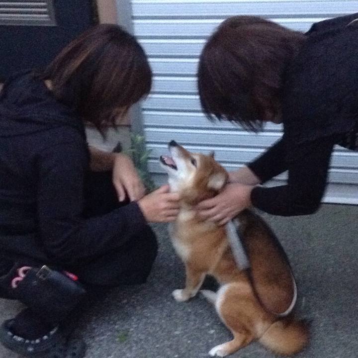 25111323 bee1 4073 87e7 26fc175e4deb 1540022531794