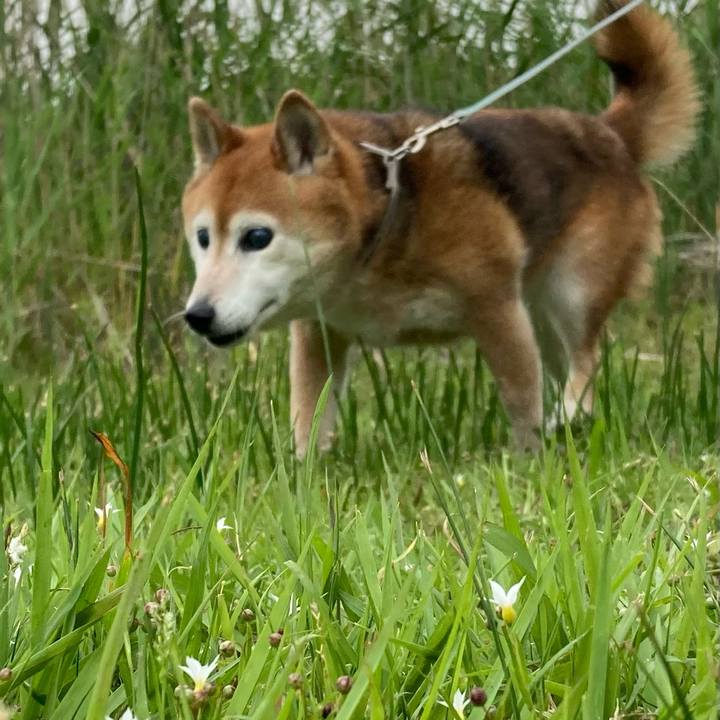 25112212 dadf 4bb1 9514 d0519b6ee79b 1749363999989