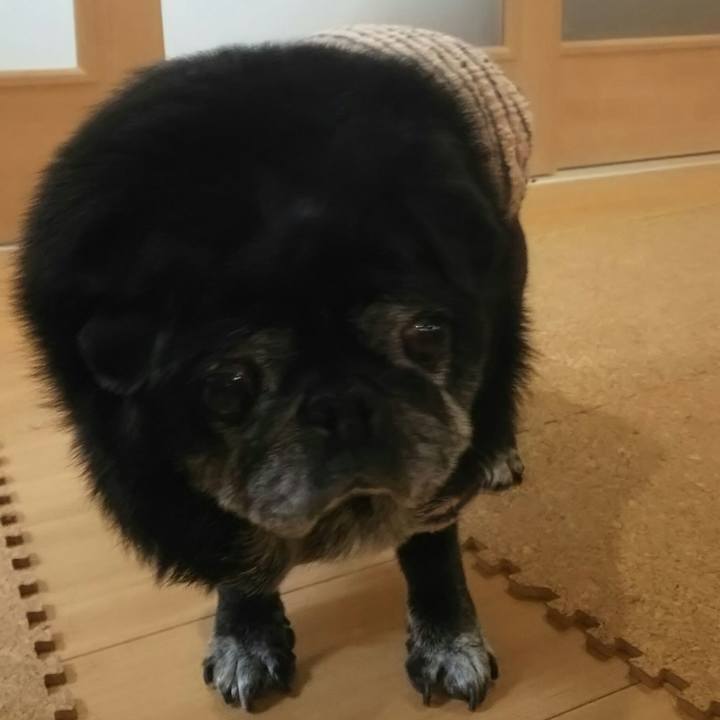 2511225d 7f51 44f7 93cf 7d1d5c43f41d 1542517649036