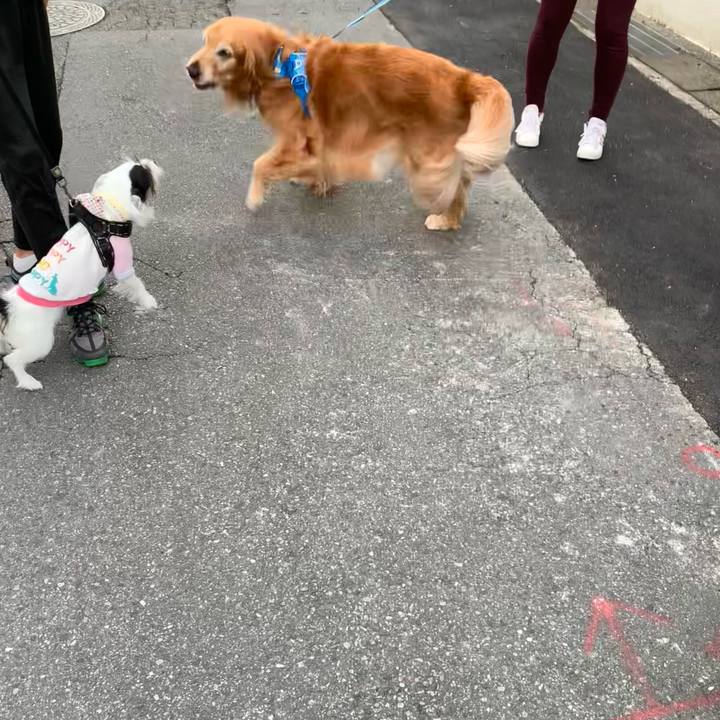 251180c6 821f 435b b5c4 2b427a146c06 1731714419324