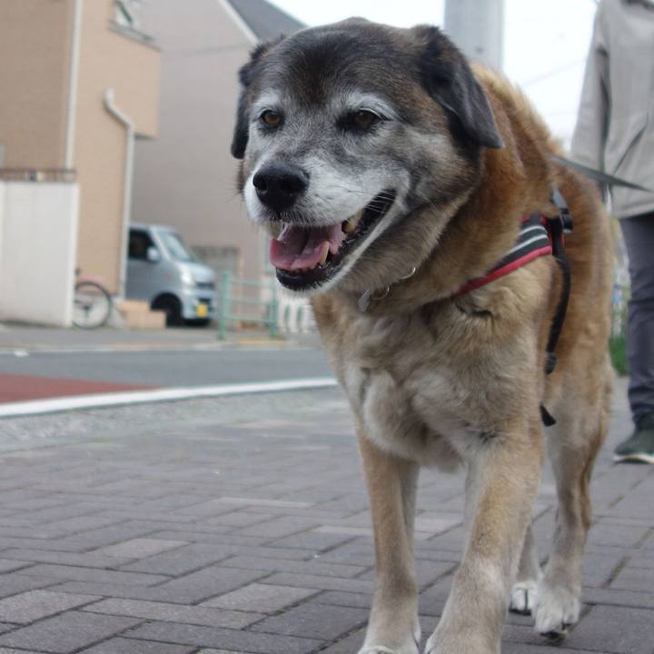 25118e1c 10db 4f1f a78d 6b8b3f7040df 1555204005134