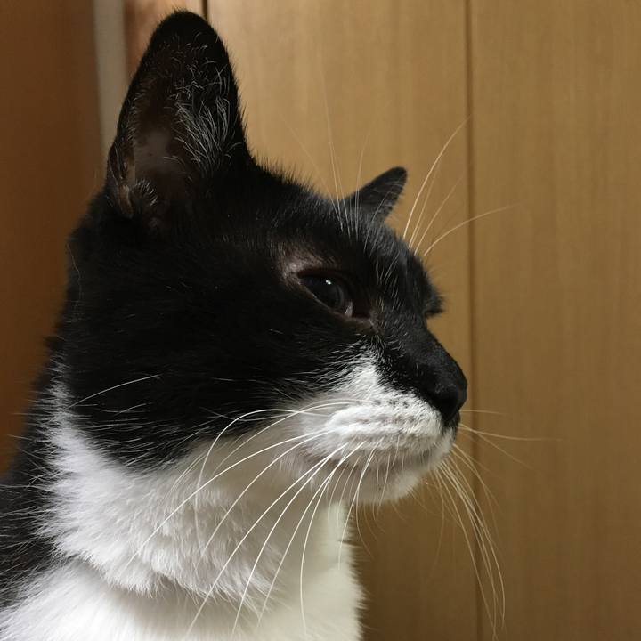 2511a664 3946 4059 92c2 b76a90ce1e3d 1537868873573