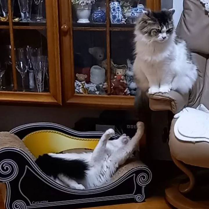 2511b647 fce5 427d a27d 0f60064524d1 1644873268026