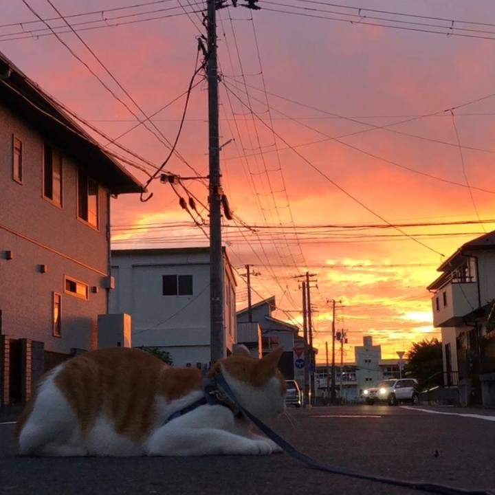 2511e368 d580 4c74 8cbe 5310bc40c6e9 1562680205230