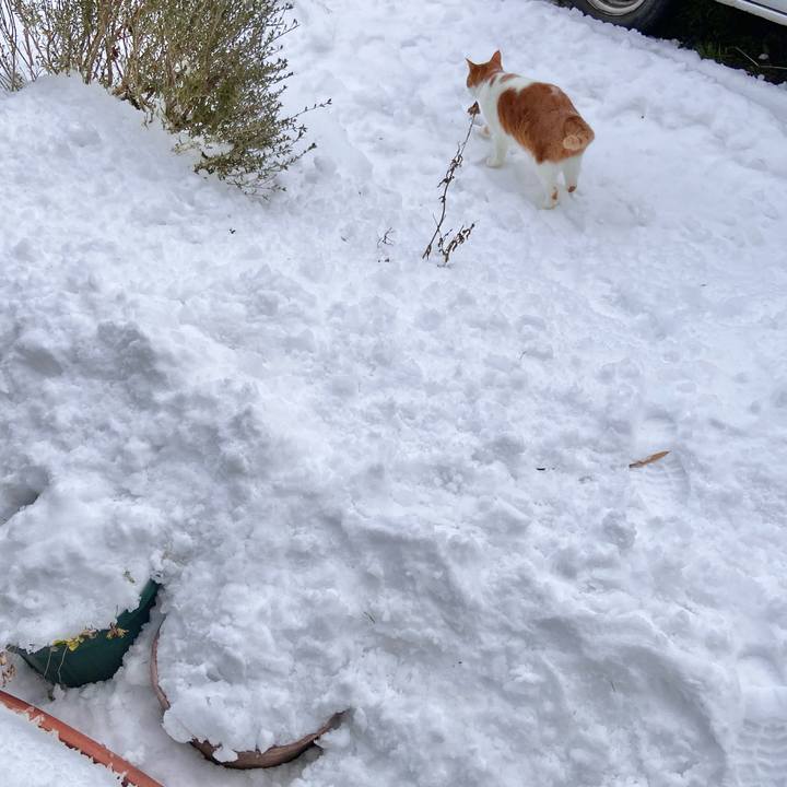 25128b0e 02d2 4414 b30c 02e92d5aff31 1734941812676