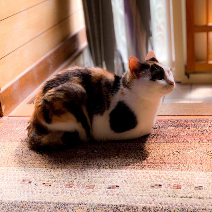 25129072 3513 4d9a a79b a968b8c1b2fd 1563069168318