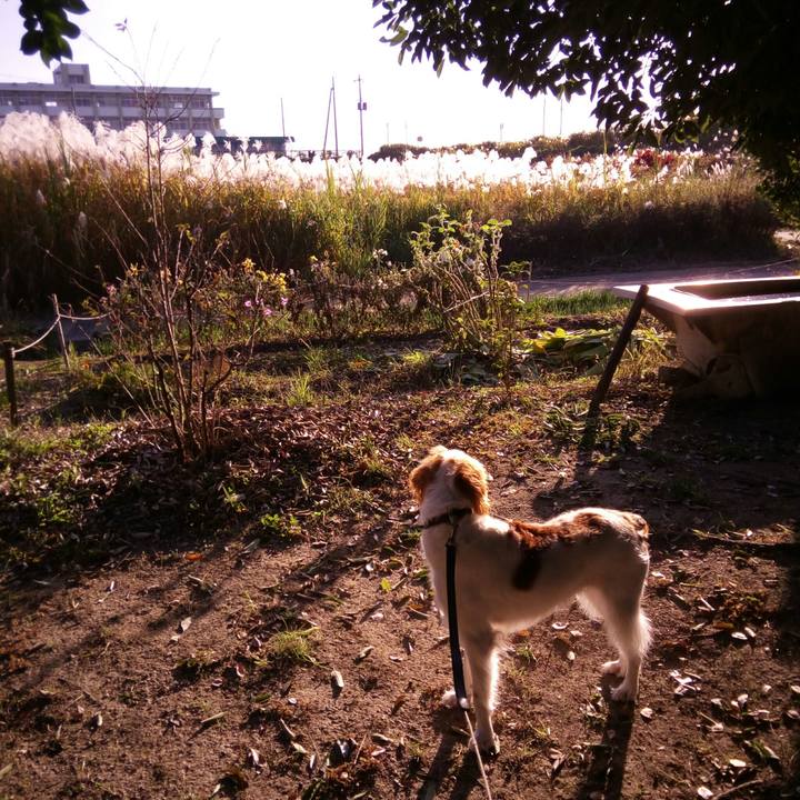 2512df76 a455 45d9 8ac7 5e7fab139a92 1510747297218