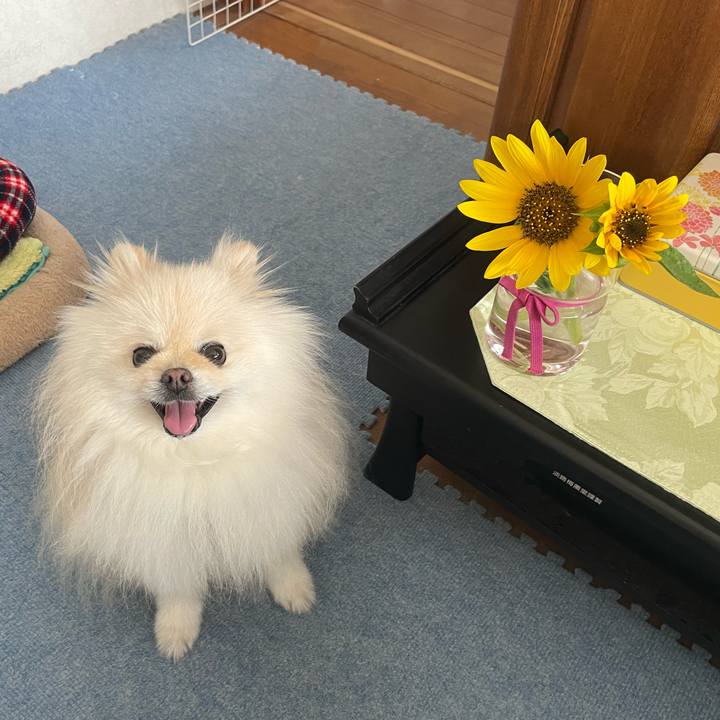 2512f6c3 4c91 4672 ac43 f0ef85a8c283 1721350540203