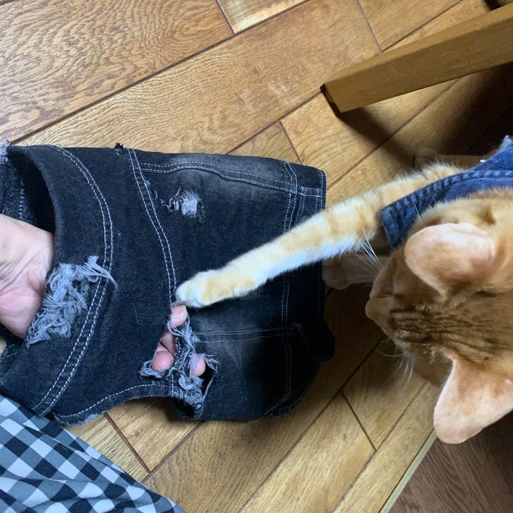 25134672 55b1 44e4 ac1a f201b8ea466e 1644242192982