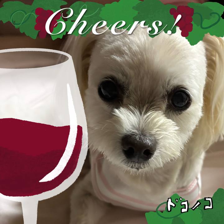 2513495c 6629 4945 9a4a 407ea0f9c8f9 1761479411420