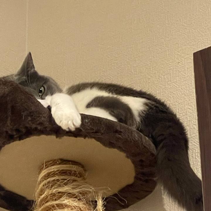 251350bb 47ce 4ba1 b356 79f2ee5b9c15 1755944188228