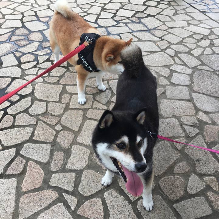 251362a3 6190 4d9c beec 86980b91e42c 1596162766775