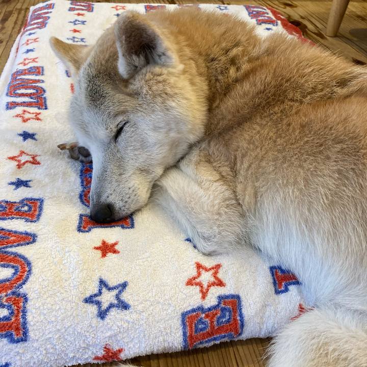 25138f60 7095 4ba8 882f 367794ae01b1 1601511262471