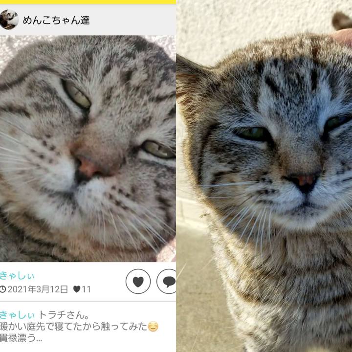 2513ae66 b5fe 4ff5 9904 c5d8edddb9aa 1679401767357