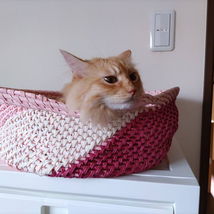 2513b26d 87ca 4bb4 bf25 cc3fa514090d 1691884710189