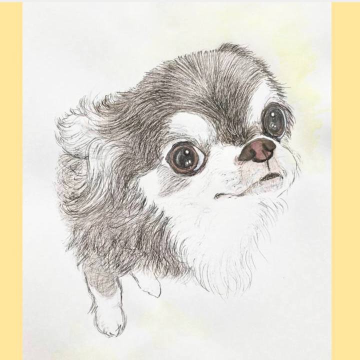 251419c4 e518 477a a3b8 3d9f68dc9822 1689469285687