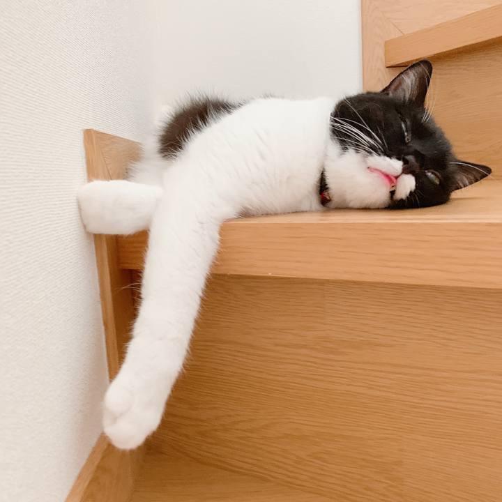 25142c96 57a8 4129 a827 3dbe078132f9 1566384186735