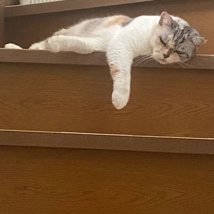 251443d9 0e41 4813 b877 b8f1d0fc2e10 1760146504038