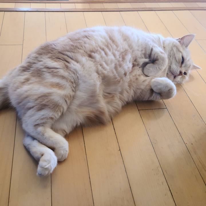 25144ba1 ff03 4127 9139 021609638a62 1644378303145