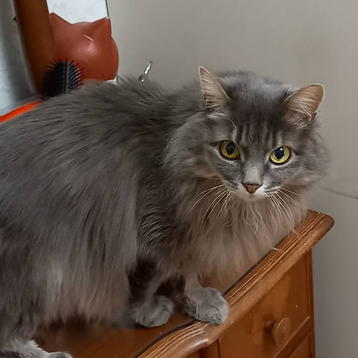 25148948 3d20 4b98 8c99 7d4bac696a04 1613510674395