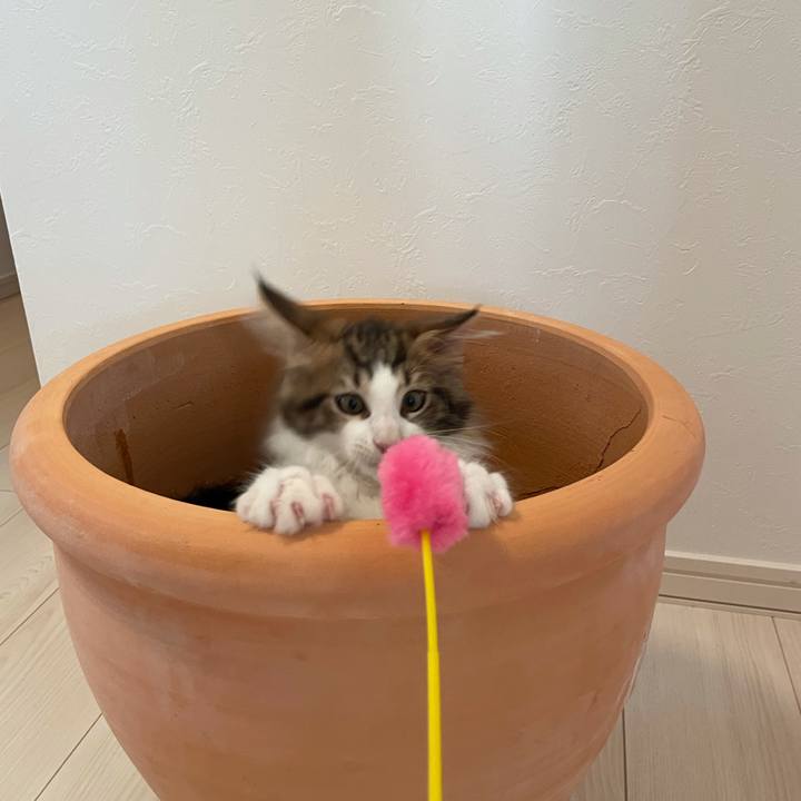 2514b35d 51f6 453f 9957 514098fc1b25 1632351799416