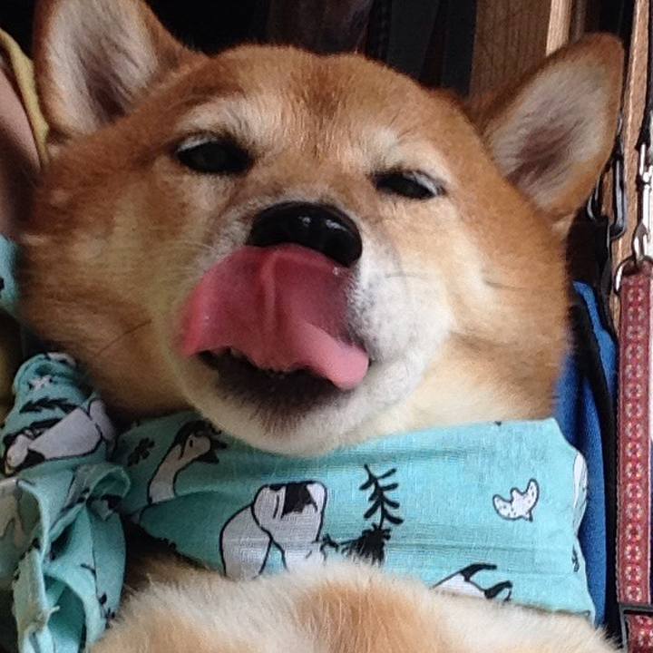 2514bc64 ebbd 4baa 982e 45ab60b6d4b7 1532580541836