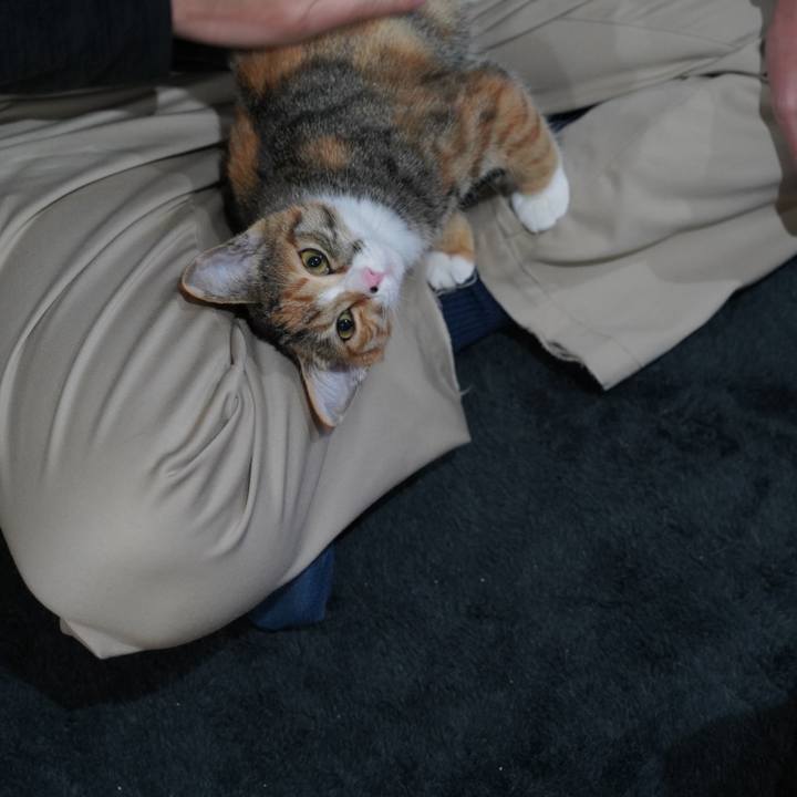 2514c927 3074 4f0e 987e e27701b95cb5 1575935157410