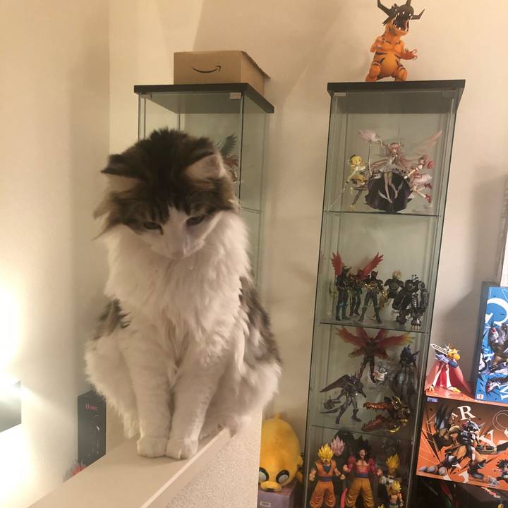 2514ca16 1a83 47e1 a99e c326a8b38bbc 1539004104887