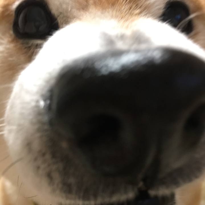 2514d177 35ae 4862 9833 6db3437da826 1523358254936