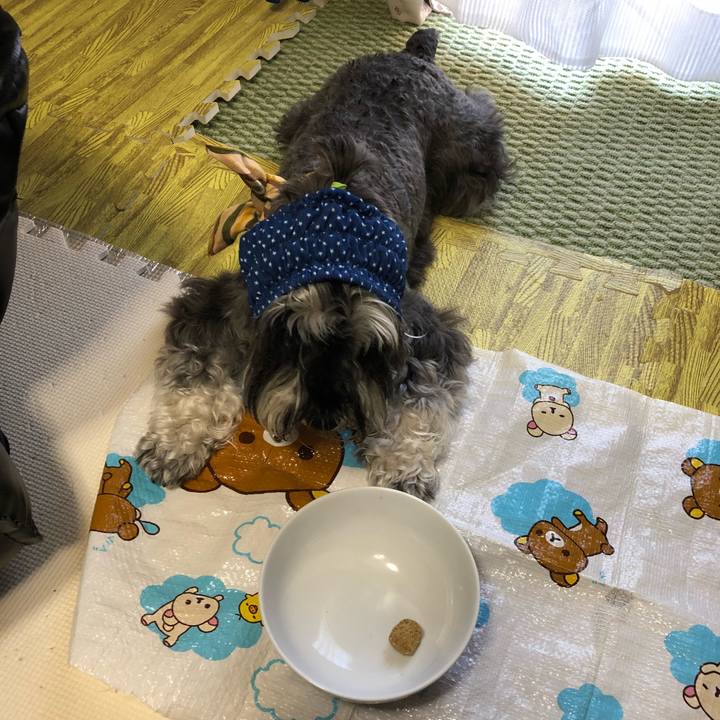 25150272 c3c9 4e97 87f3 d07f40223c61 1531615467532