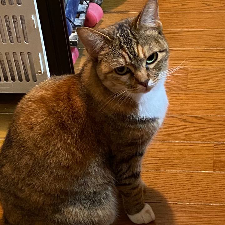 251524e0 96e4 44df 8930 4274cbfb9b9a 1590143360587