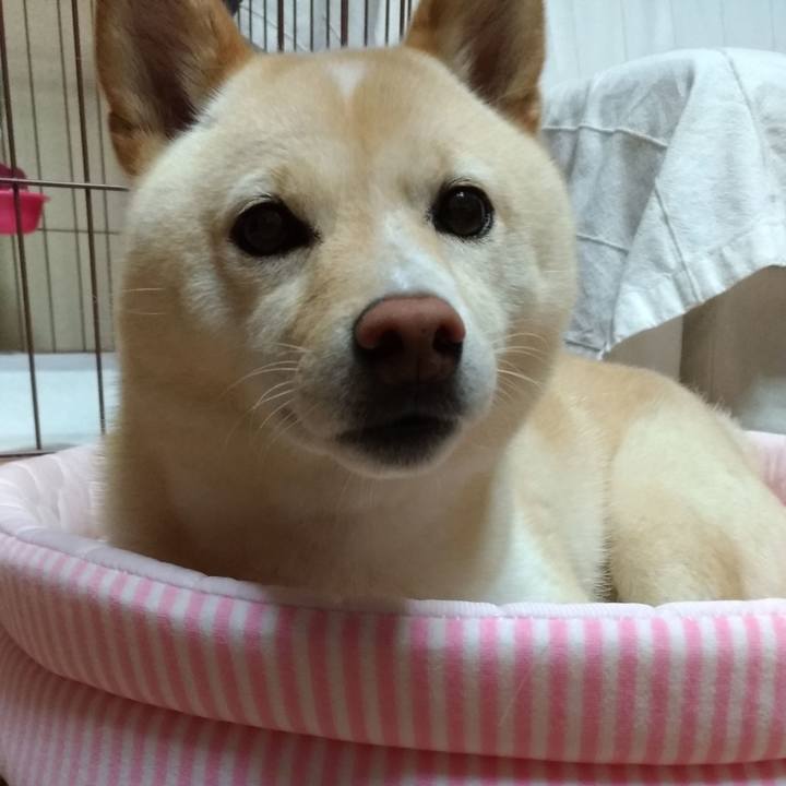 2515362e b2c0 4fcd 8f3b caba0824ae31 1594121628927