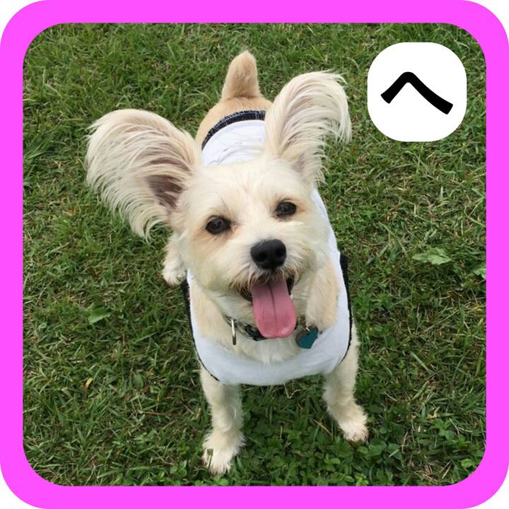 251588eb 61ca 4635 aa5a 4132e6d853bd 1514781784671