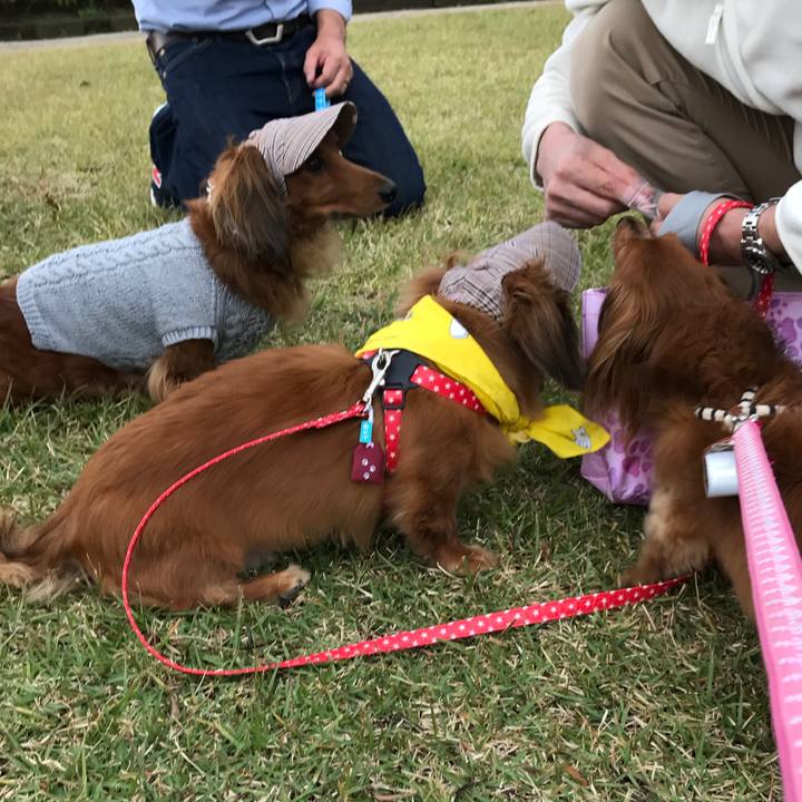 25158aef 0739 40c0 a3a6 b2ff8fae5d1f 1509835993266