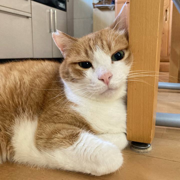 2515a6df 0532 40de 9d24 bfccbfdba898 1759362974994