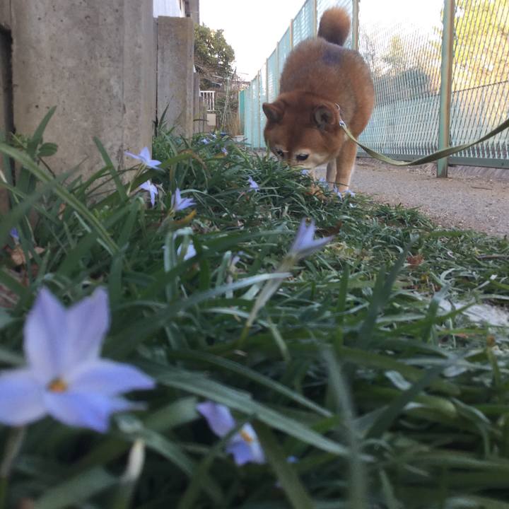 2515cbd0 5ea2 4a6a 908e e6712ff16c6a 1614768376796