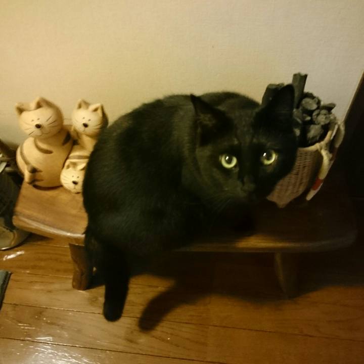 2515cfe2 e5f4 426e 8ece 3b39554f3207 1529421585054