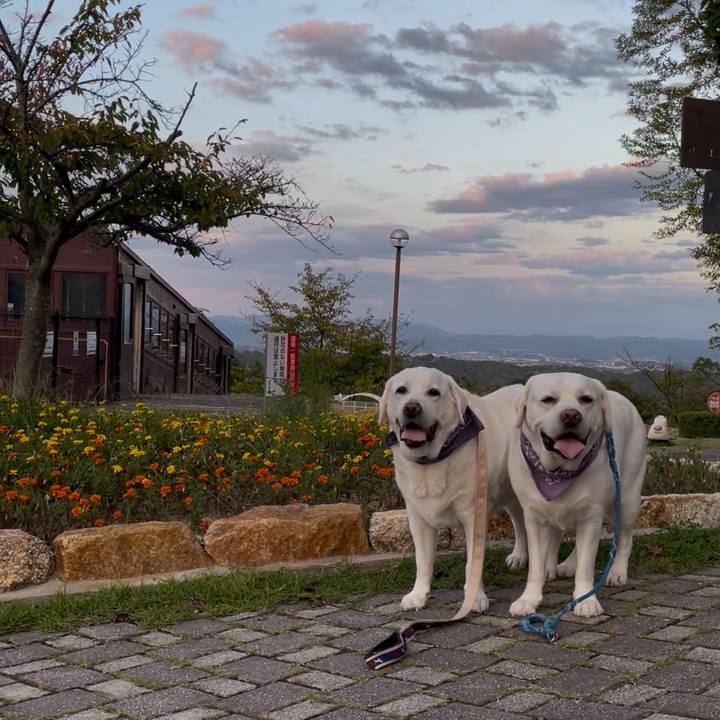 2515d816 ed7a 4143 9c61 a2f6b8d65d72 1764222529632